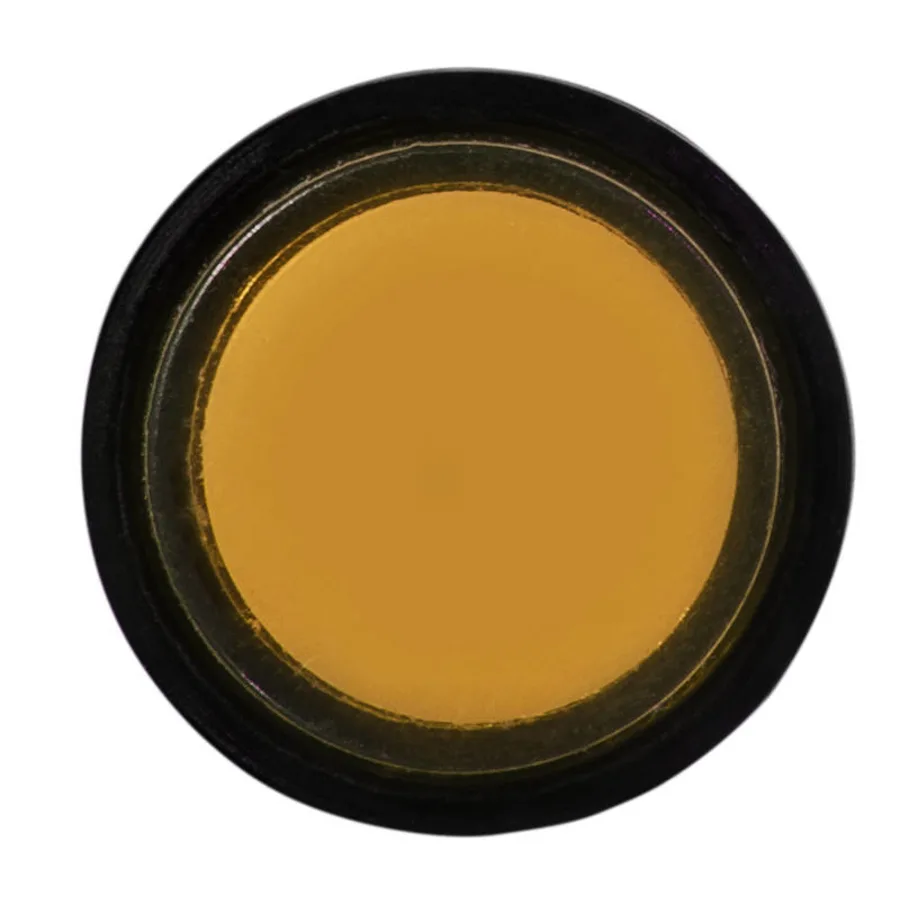 Сигнальна арматура AD22E-10DS жовта 220V АC
